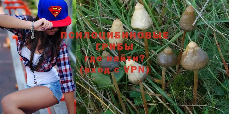 Галлюциногенные грибы Magic Shrooms Белозерск